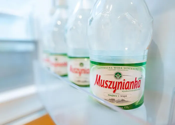 Appartement And Specious Two Bedrooms In The Old Town